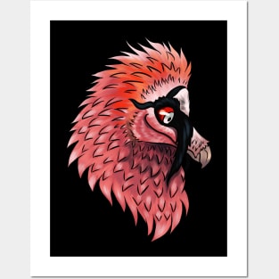 Bearded Vulture Head Posters and Art